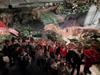 20231206_140231-kopiowanie-jpg1706635602